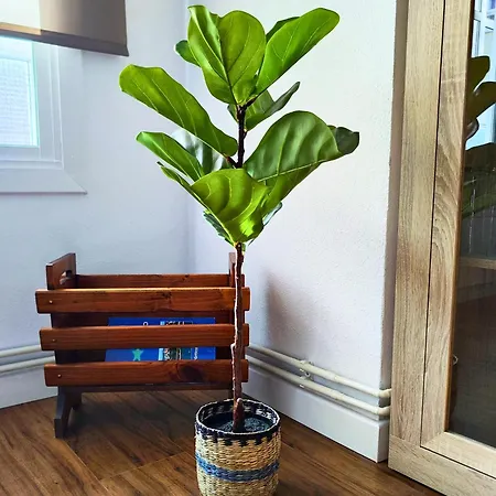 Pena Furada Διαμέρισμα *