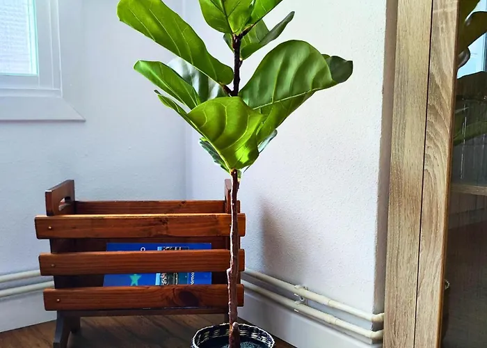 Pena Furada Appartement *